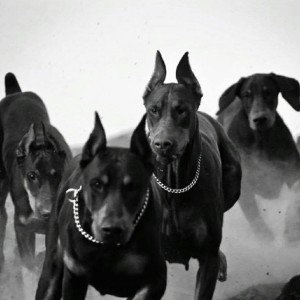 Smokey-Не верю