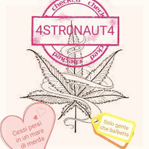 Non mi frega un cazzo (4STRONAUT4 album)