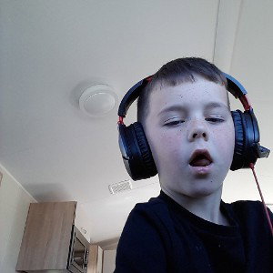 diss