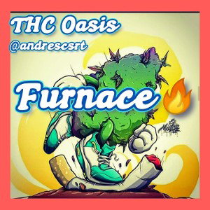 Furnace 🔥          