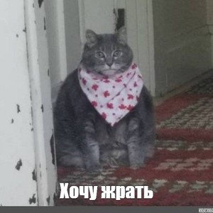 Жизнь_18-10
