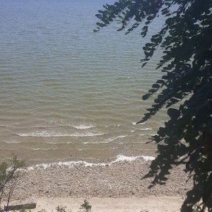 Море,сиги,коньёчок