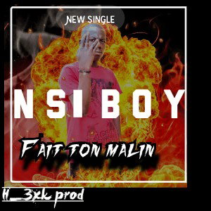 NSI BOY -FAIS TON MALIN
