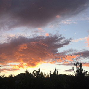 TRAPY (19:56)