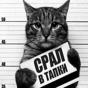 я пою второй трек