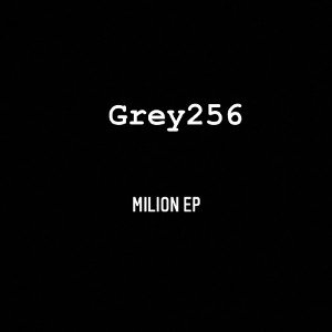 Grey256-Ring
