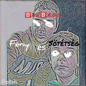 Bírd ki