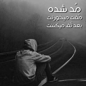 واقع بین