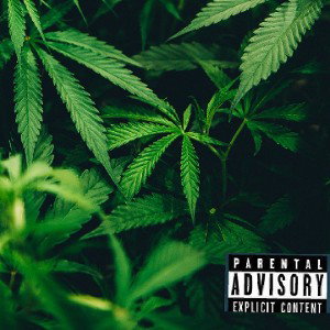 - king hustle -🇯🇲 (peter tosh )ft king meazy