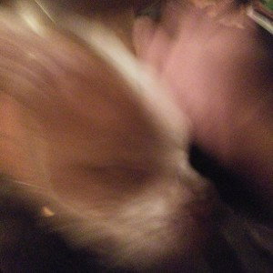 Spirit Animal (DEMO) 