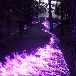 B1cht! (slowed+reverb)