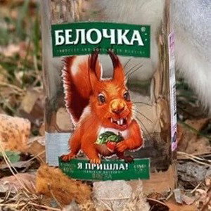 Бело - Белочка