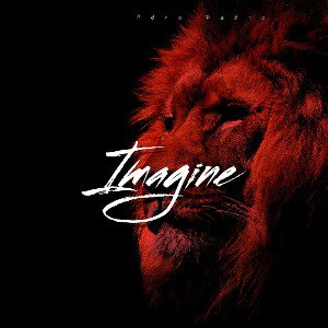 Imagine Revamp✨