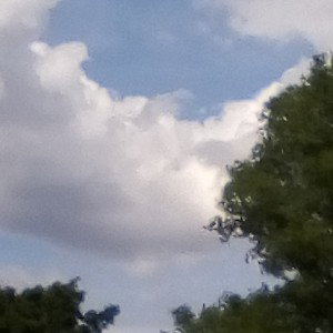 volando