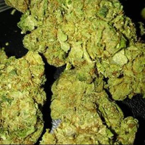 Blaze up 
