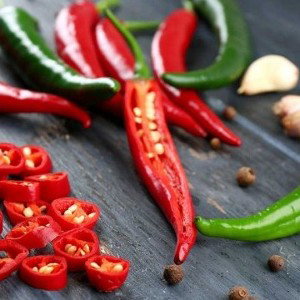 Spicy Freestyle