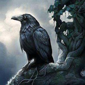 The Raven-Majeztic
