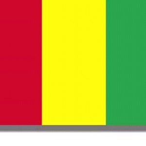 Free Guinnea🇬🇳 freestyle