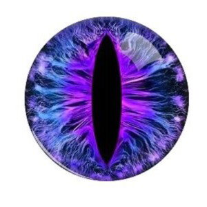 Eyes 9 the Dragon