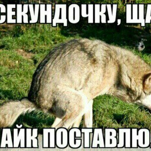 ахахаха