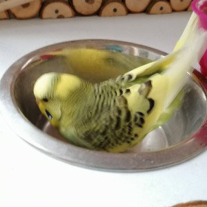 Übernatürlich untermenschlich sssssccchhhhhhllllleeeeecccchhhhtttt