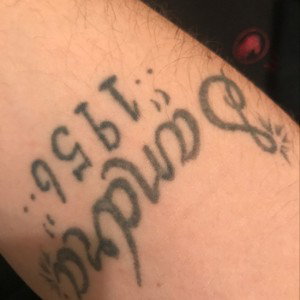 Freestyle 345