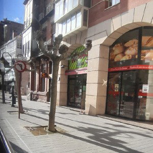 thelarealcalle palencia 04
