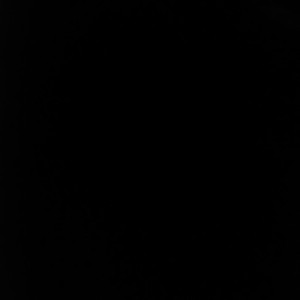 ⭐la bestia 🖤