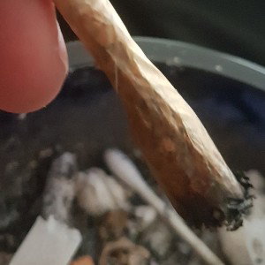 layed it down freestyle as per 