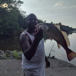fish on the block
