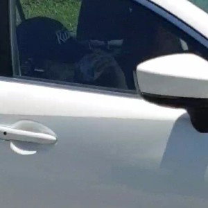 BUSTED