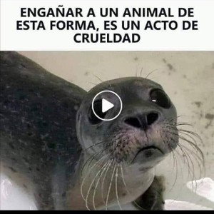 Así somo's  Reydelterror McDiablo Fabian E