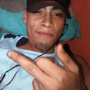 perro te picas