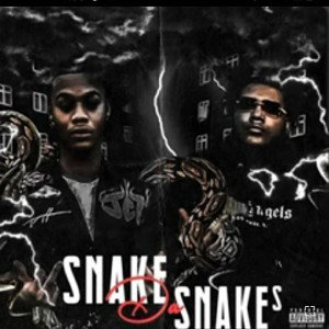 trapNrappN