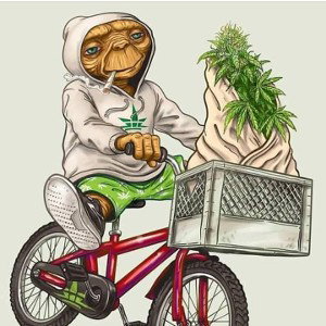 freestyle