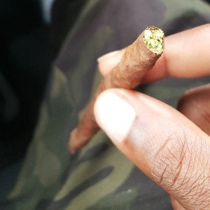 Roll One (Match)