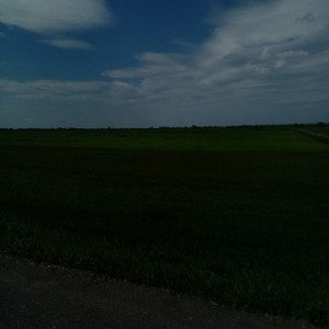 Bass _12-52