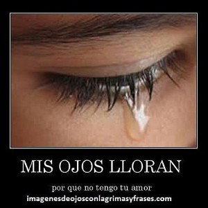 😭😭😭😭😭