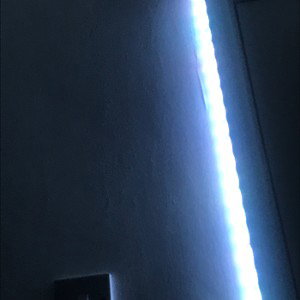 INEEDSPXCE (6:31 pm)