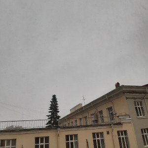 Покоривший мир