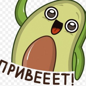 авокадик 