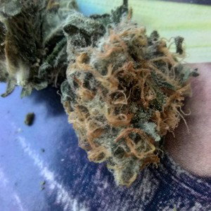  smoke a lot