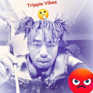 trippyvibes420-what you gonna do(snippet)