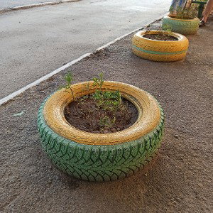 галоп