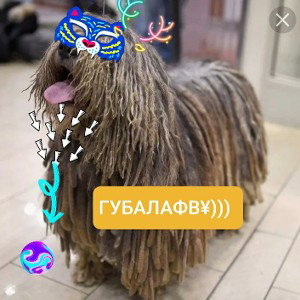 ИНТРО