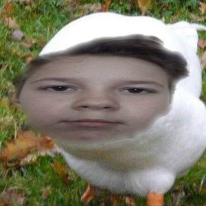 утки