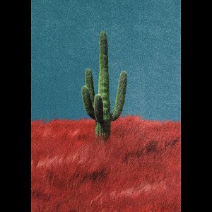 Misère (reprise)