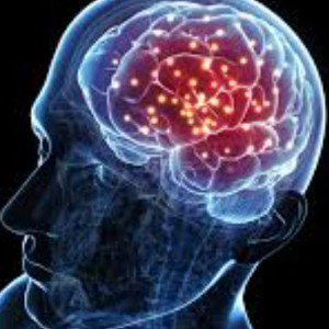 my mind 