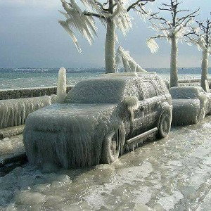 #January frost a little bit off