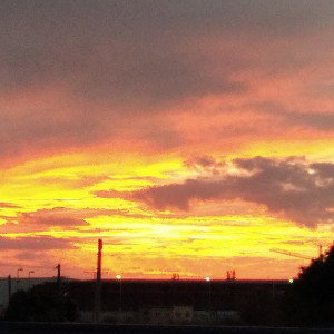 chaplin - Salida - Stereo Out